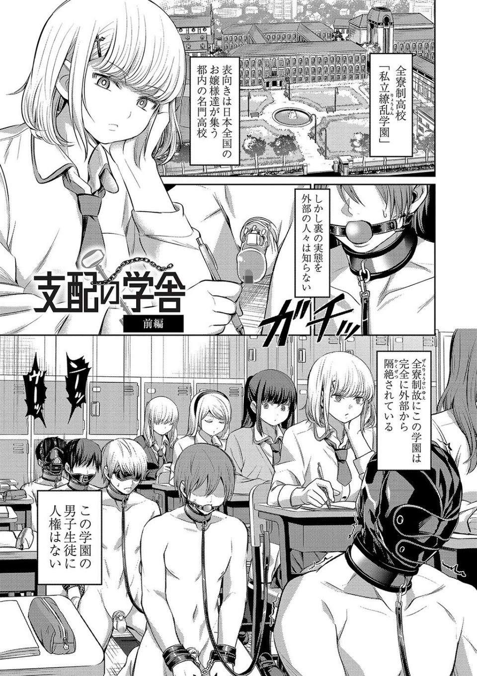 ざ・ふぃめーる・どみねーしょん【デジタル特装版】 5 ページ目