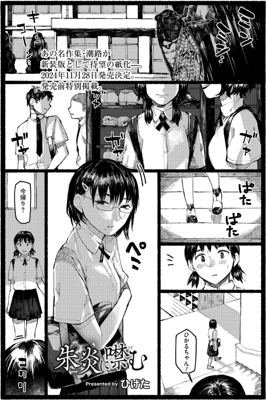 コミックカイエン（快艶） VOL.18 13 ページ目