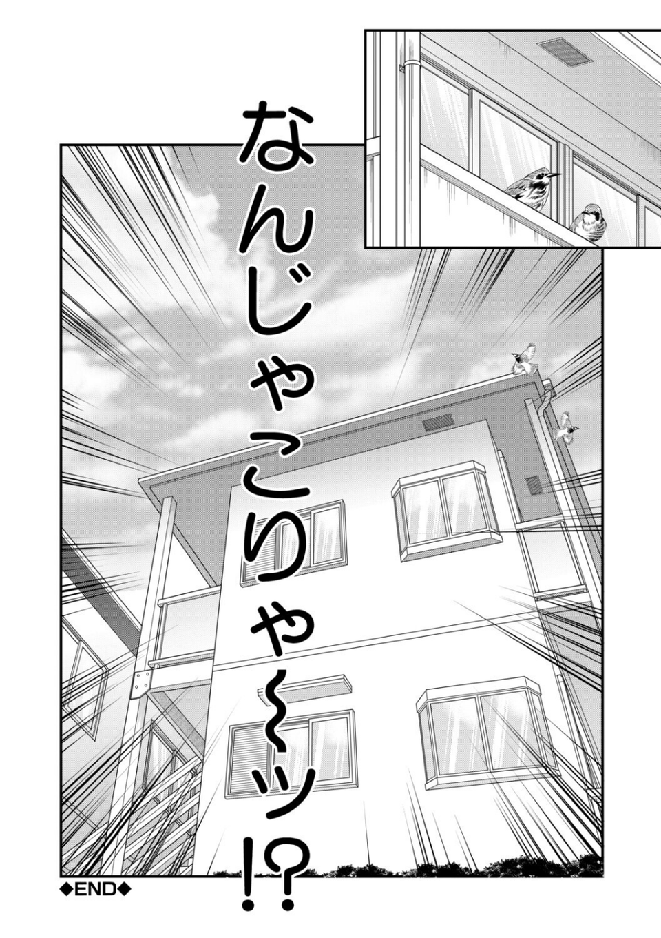 ご近所お姉さんと4Pってマジ!? 52 ページ目