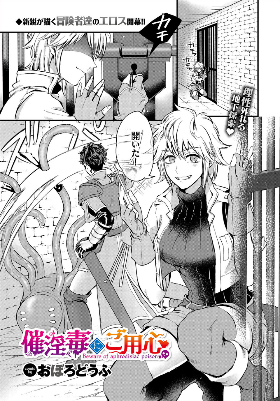 ダンジョン攻略はSEXで！！ VOL.1 【通常版】 11 ページ目