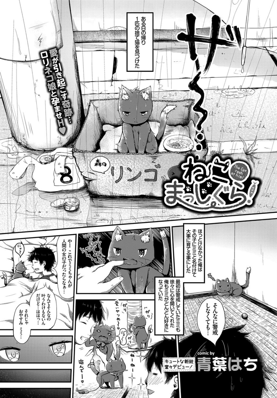 COMIC BAVEL 2017年3月号 18 ページ目