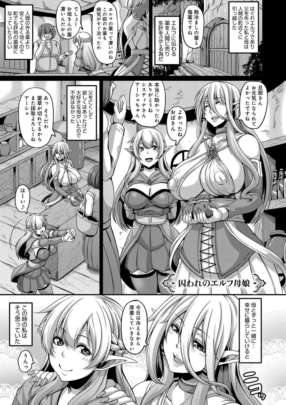 愛嬢の淫辱エルフ 5 ページ目