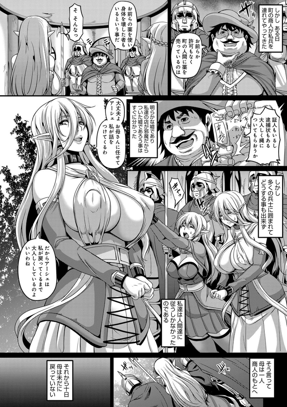 愛嬢の淫辱エルフ 6 ページ目