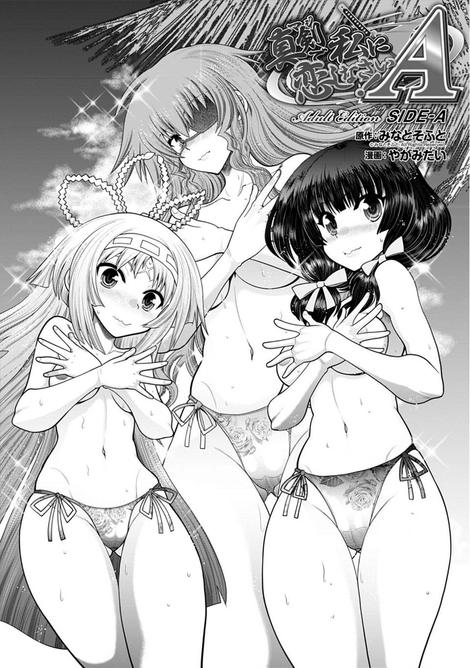 真剣で私に恋しなさい! A Adult Edition SIDE-A 3 ページ目
