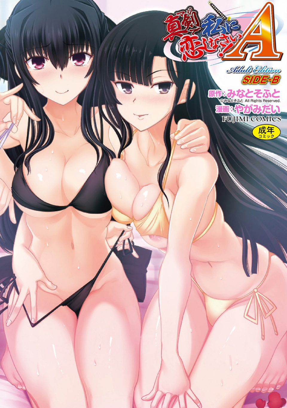 真剣で私に恋しなさい！ A Adult Edition SIDE-B 1 ページ目