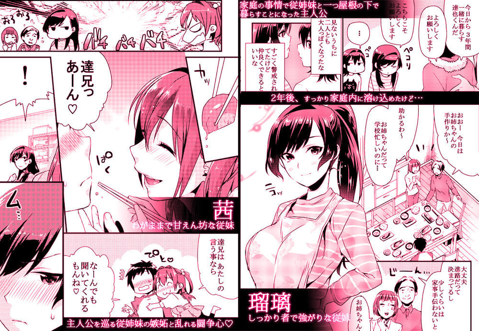 姉君妹君総集編 2 ページ目