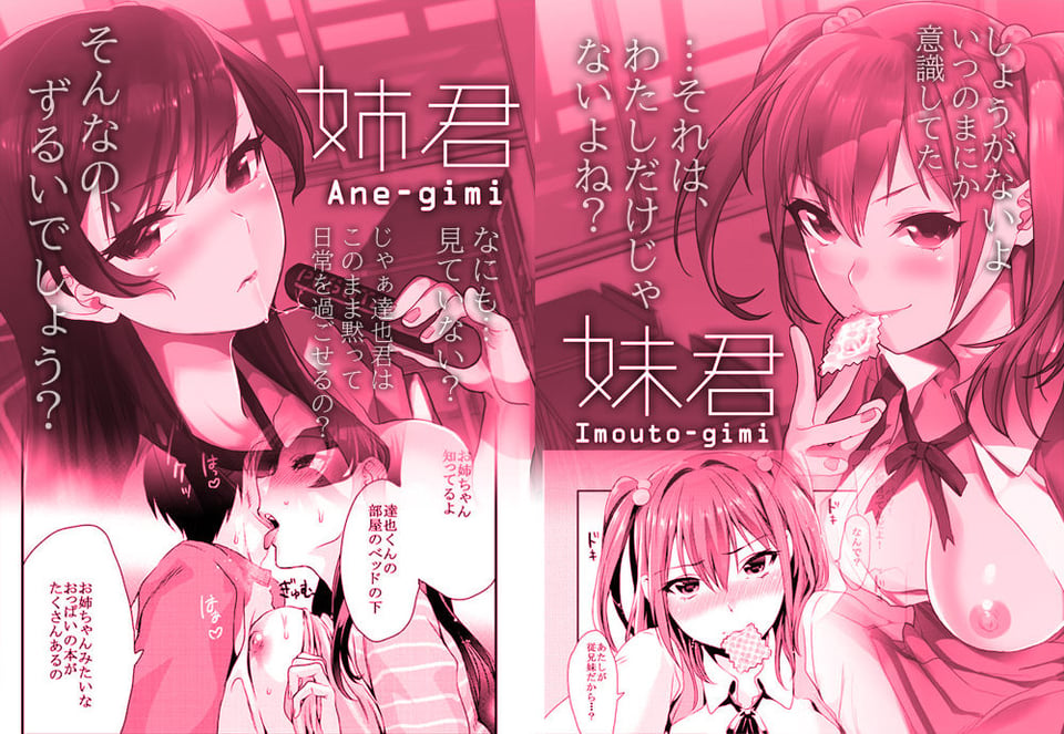 姉君妹君総集編 3 ページ目
