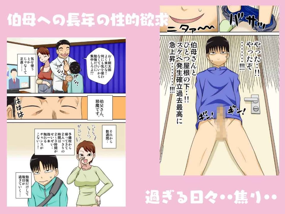 陰キャの甥がヤリたい伯母さん。 2 ページ目
