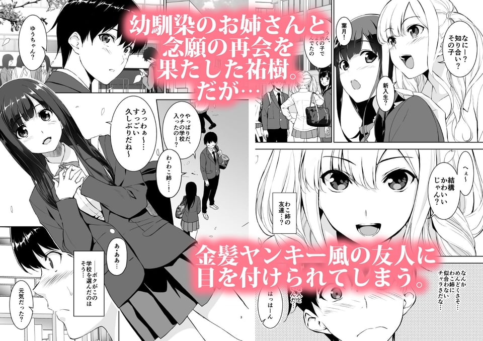 清楚な姉が好きなのに、ビッチとセックスしてる俺 1 ページ目