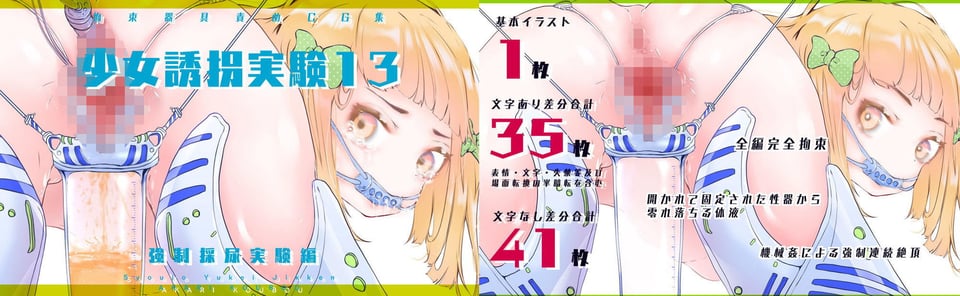 【セット販売】少女誘拐実験vol.11・12・13 子宮調教・卵管検査・連続絶頂観察・強●採尿実験編 5 ページ目