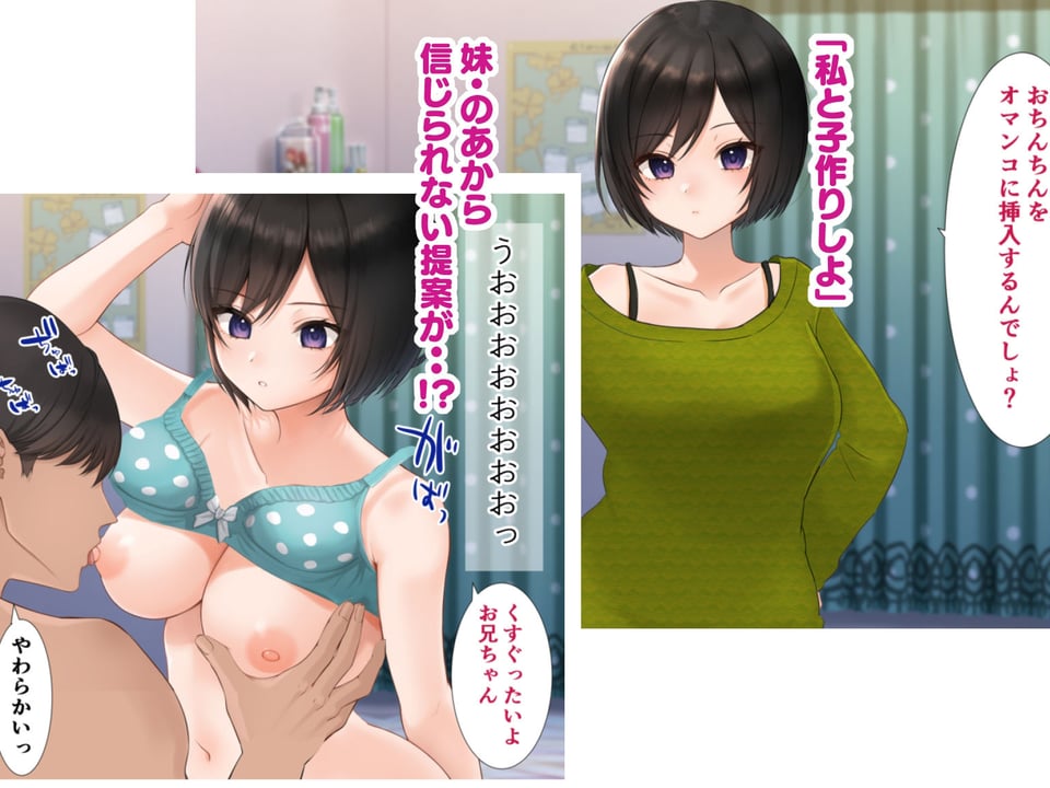 妹と内緒の子作り生活。排卵日は中出しだよ 2 ページ目