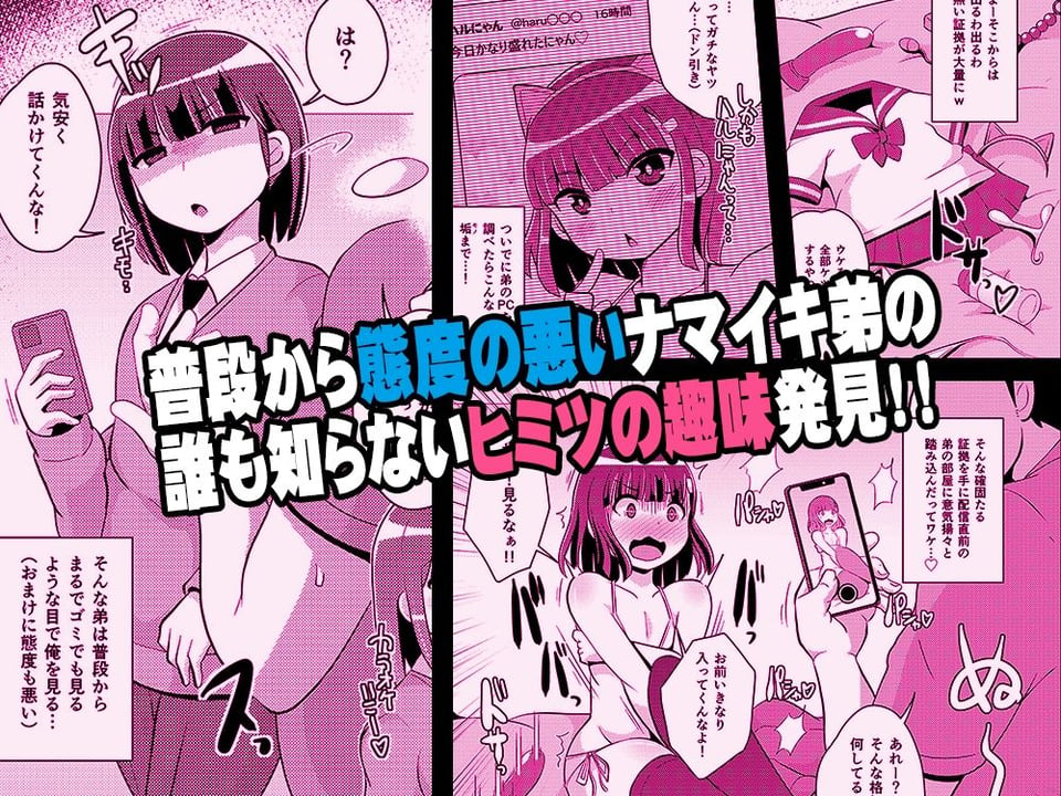 ナマイキ弟の精嚢をこねくり回してメス♂にする本 1 ページ目