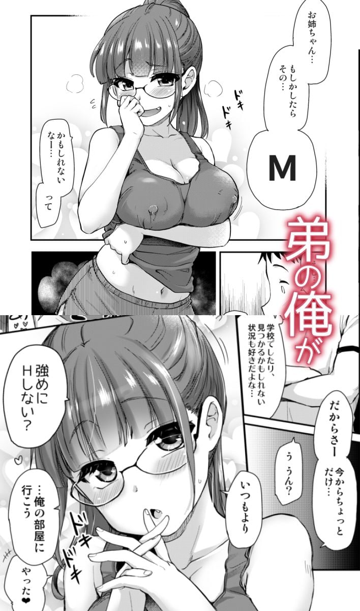 姉の性欲処理は、弟がするものだと、義弟は思いはじめている。 3 ページ目