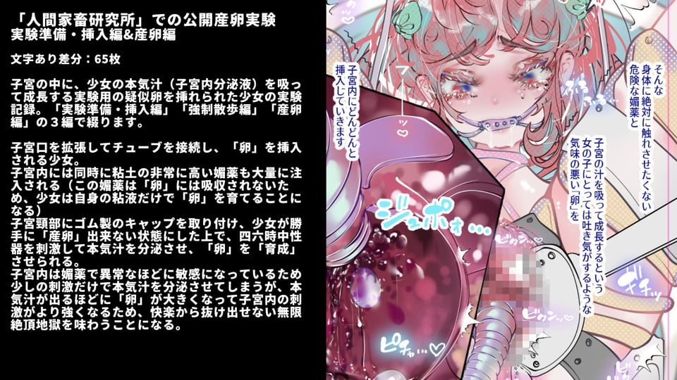 少女誘拐実験vol.26〜30 公開産卵実験・子宮チューブ媚薬注入・逆さ吊り拘束強●絶頂など5作品 3 ページ目