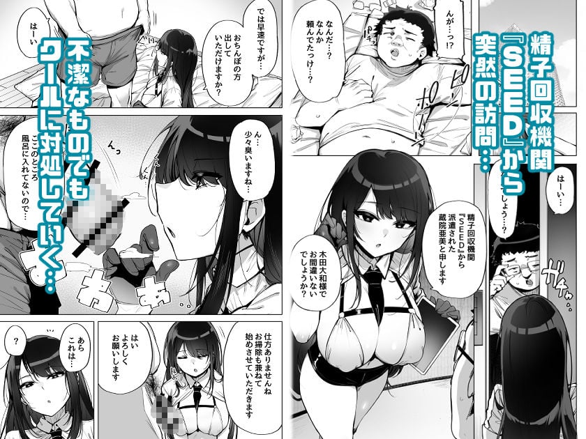 あなたの種回収します 1 ページ目