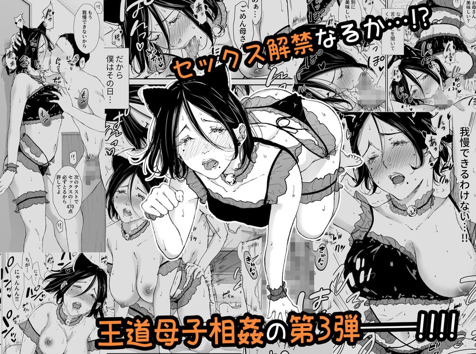 僕の大好きな母さんと思う存分セックスできる日 3 5 ページ目
