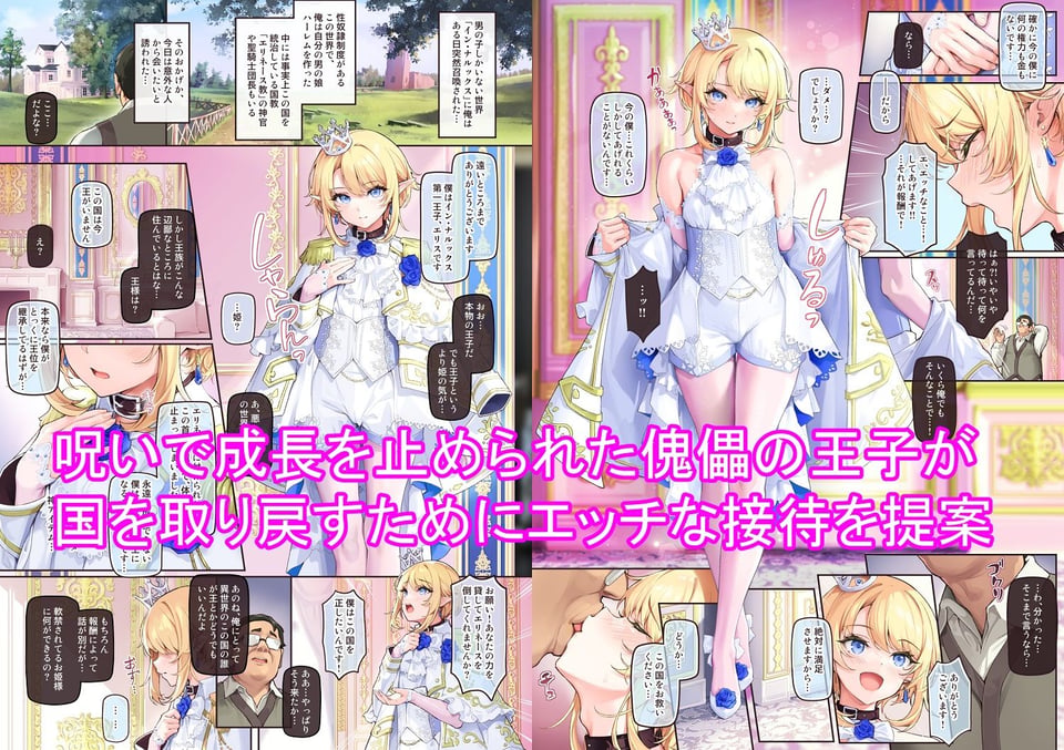 異世界オトコノコ王子従順隷奴〜呪いで成長が止まった王子を弄びメス堕ちさせる〜 1 ページ目