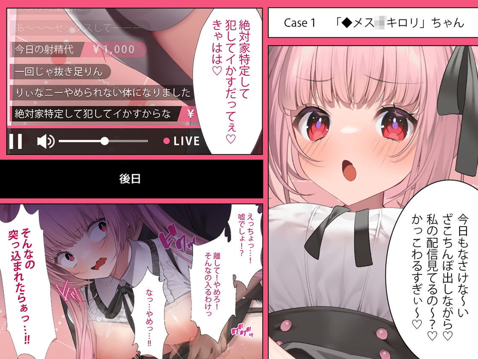 【40分以上の動画＋CG集】配信者のオシゴト【Live2Dアニメーション動画×音声入り】 1 ページ目