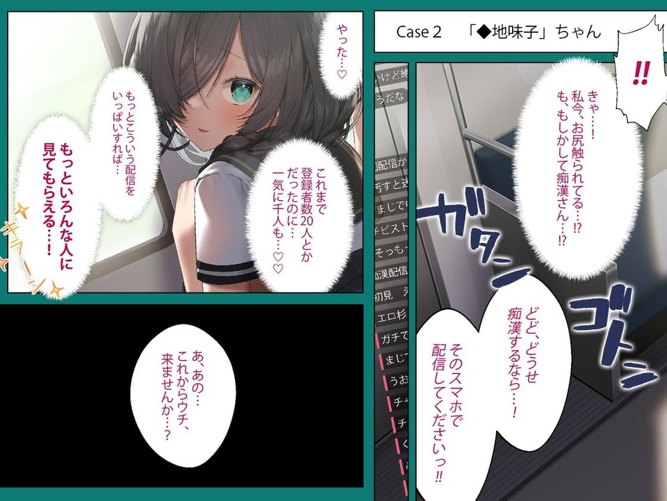 【40分以上の動画＋CG集】配信者のオシゴト【Live2Dアニメーション動画×音声入り】 2 ページ目