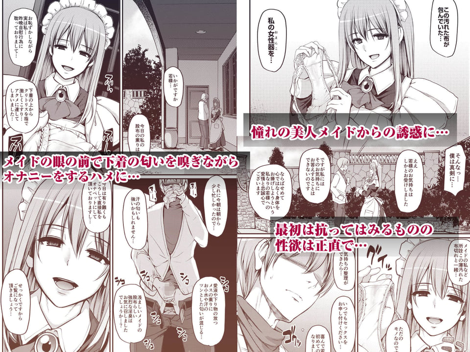 淫靡に薫るメイドの花弁が僕を今宵も狂わせる。 3 ページ目