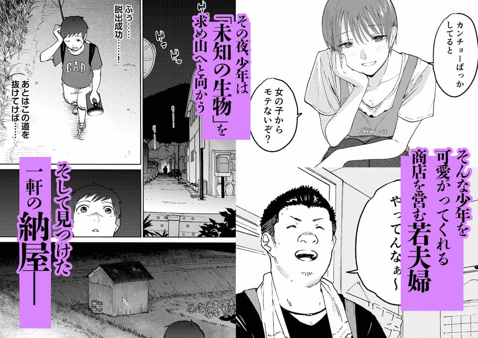 あの納屋 〜ぼくが見たことないおばさんの夜の姿〜 2 ページ目