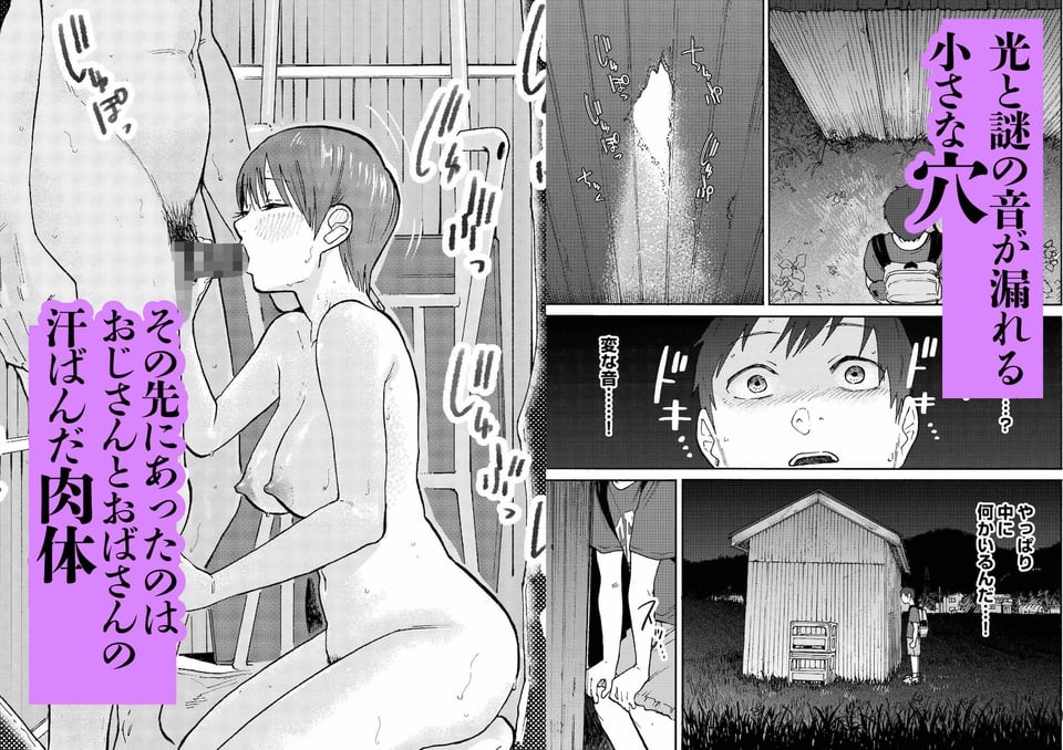 あの納屋 〜ぼくが見たことないおばさんの夜の姿〜 3 ページ目
