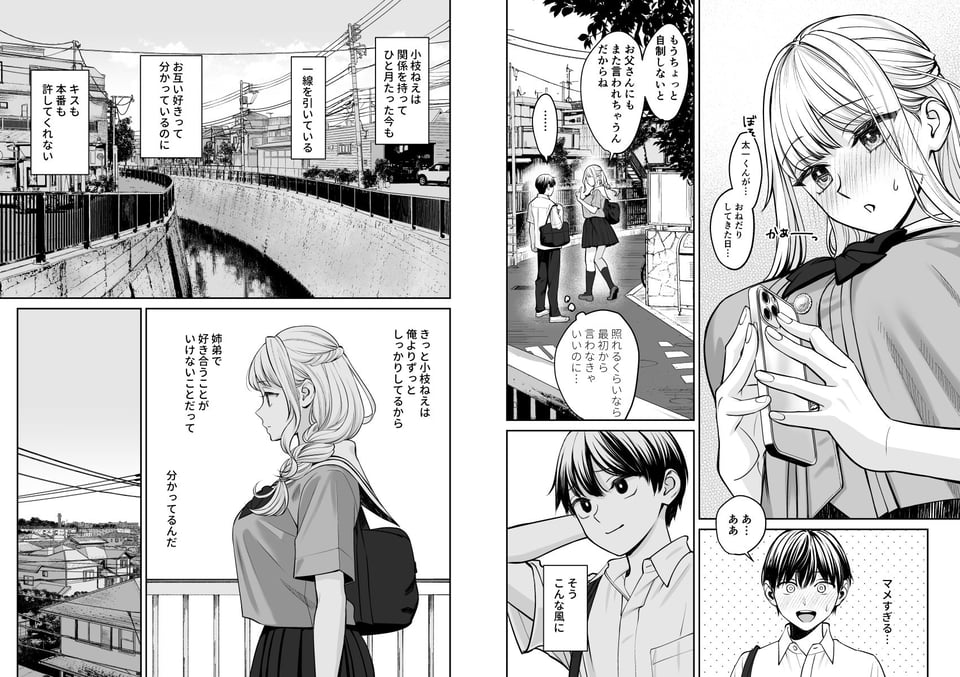 姉弟以外になれたなら 10 ページ目
