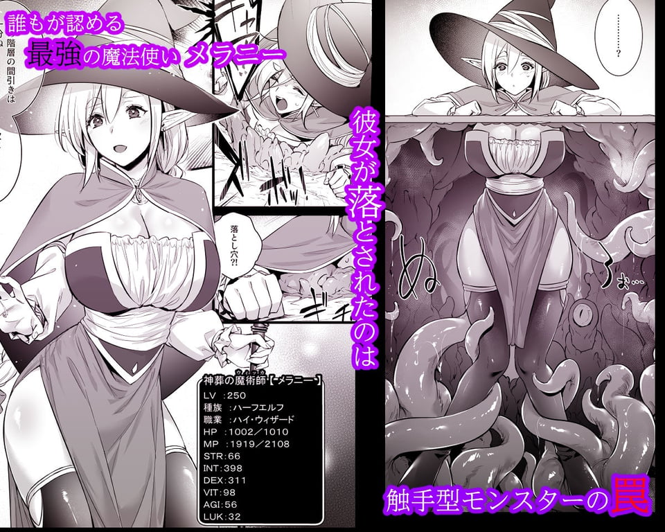 レベル250の魔法使いが感覚遮断落とし穴に堕ちてレベルドレインで人生が終わるまで 1 ページ目
