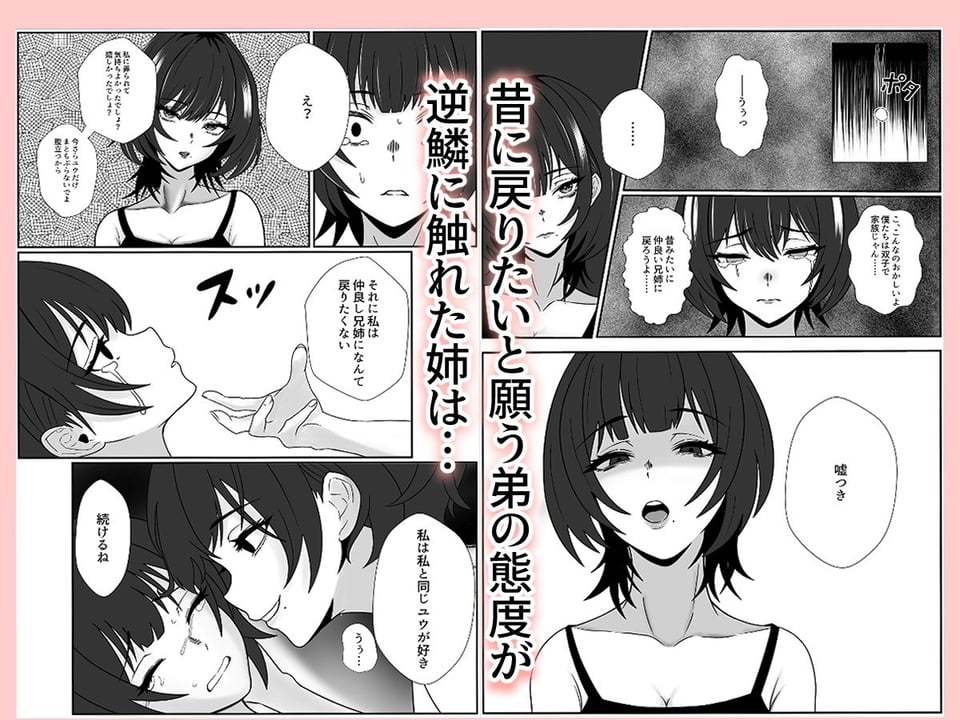 双子の異常な愛情〜双子の姉が弟を女装させてローションガーゼで気絶するまで精液と潮を搾り尽くす話〜 3 ページ目