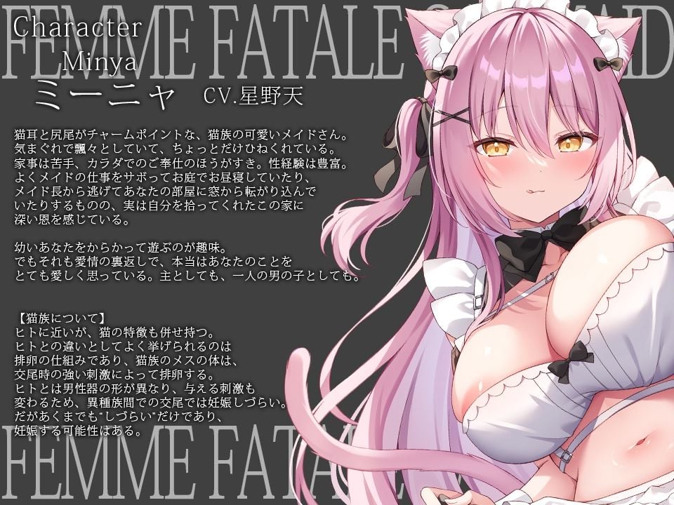 【だらあまおねショタ3時間超♪】小悪魔猫メイドさんとだらだらであまあまな筆おろしえっち〜悪戯から始まる、あなたより少しオトナなメイドさんとの秘密の関係〜 3 ページ目