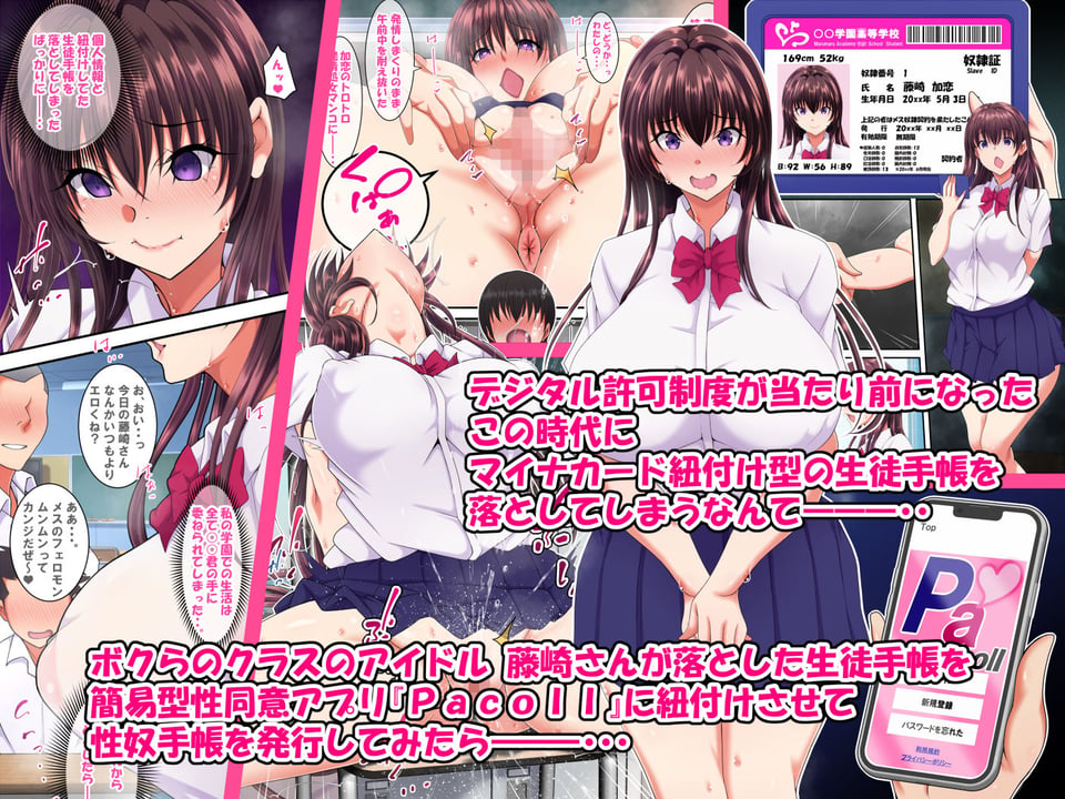 簡易型性同意アプリ『パコル』 1 ページ目