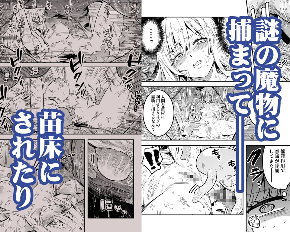 冒険者ちゃんとえっちな冒険5 2 ページ目