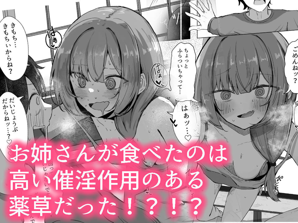 山菜テンプテーション  〜薬草で発情したちょっぴりMのお姉さんが止まってくれない。〜 3 ページ目