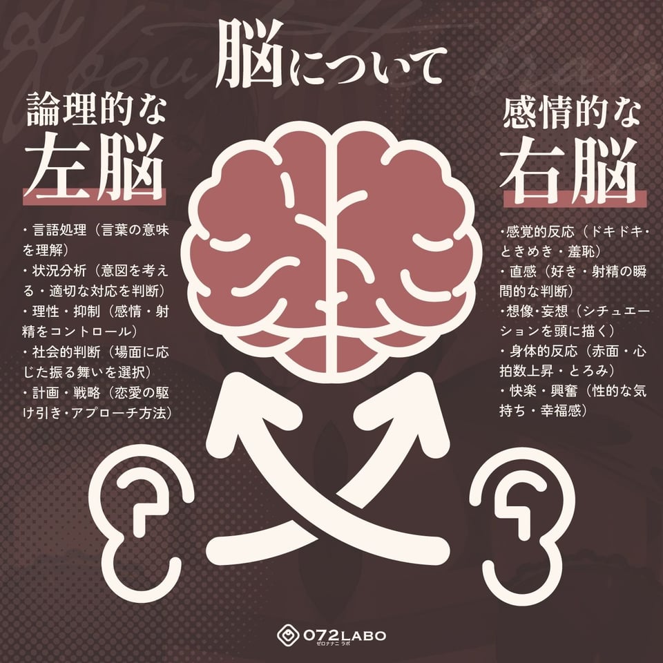 【脳バグ】命令の右耳とドスケベ本心が聞こえる左耳「右耳左耳右脳左脳」〜とても厳しい射精管理官★低音ボイスお姉さんの本音〜【射精管理官の本音】 3 ページ目