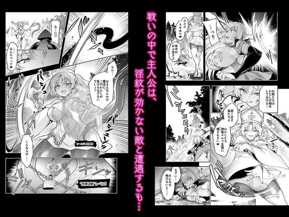 エルフに淫紋を付ける本 LEVEL:9 3 ページ目