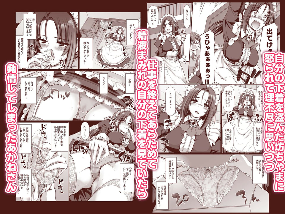 ポンコツ独身メイドあかねさん（28） 3 ページ目
