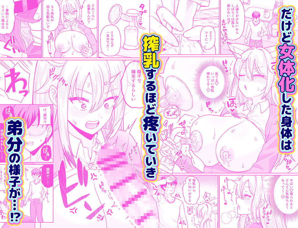 TS女狐お兄ちゃん搾乳物語 4 ページ目