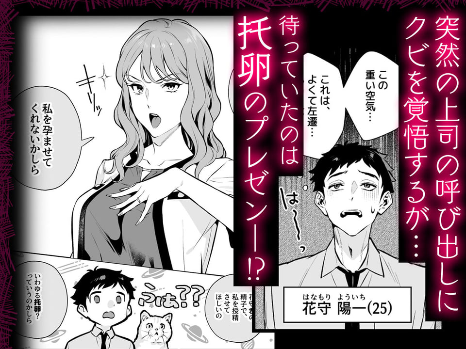 托卵契約 いつも真面目な美人上司(人妻)が、なぜか托卵を迫ってきたので遠慮なく孕ませたった。 2 ページ目