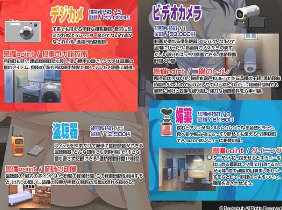 自宅警備員 全て挿入済み 2 ページ目