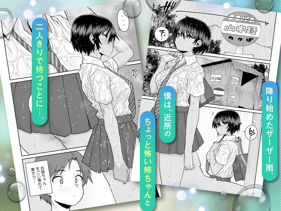 無口で気の強いボーイッシュなお姉ちゃんで僕は童貞を卒業しました 1 ページ目