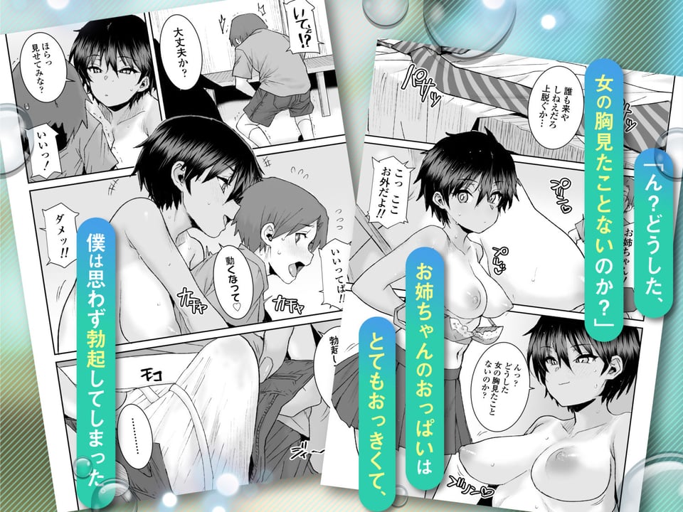 無口で気の強いボーイッシュなお姉ちゃんで僕は童貞を卒業しました 2 ページ目