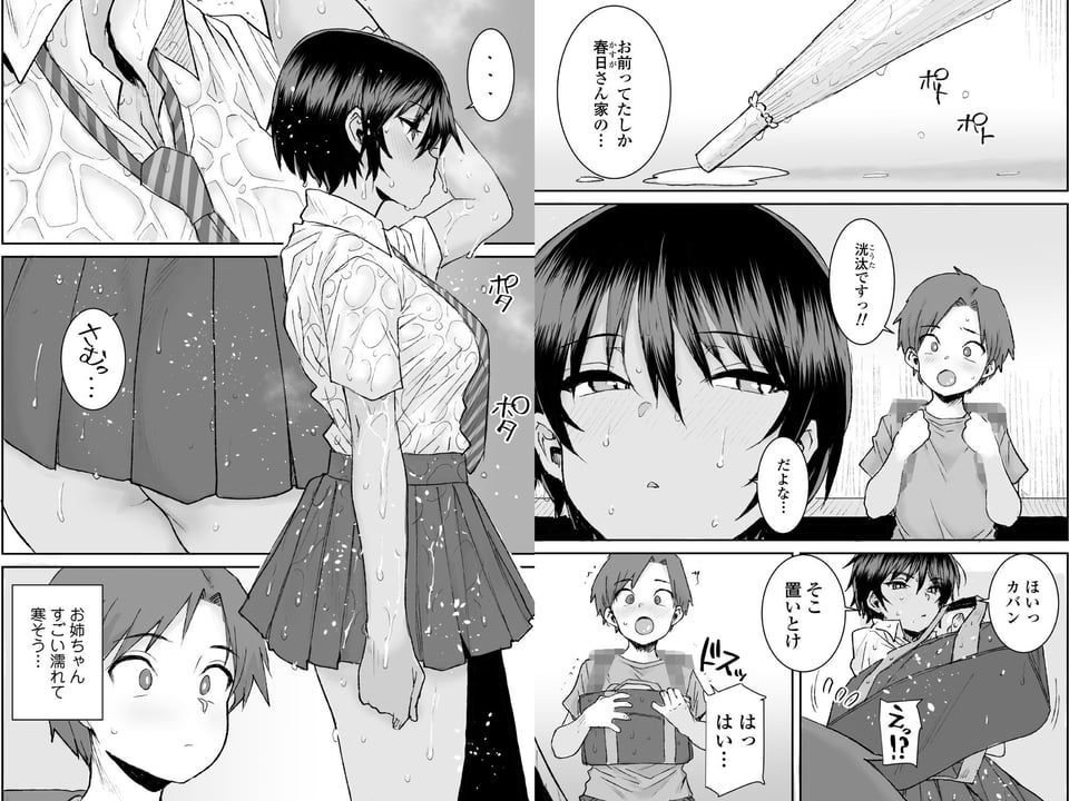 無口で気の強いボーイッシュなお姉ちゃんで僕は童貞を卒業しました 5 ページ目