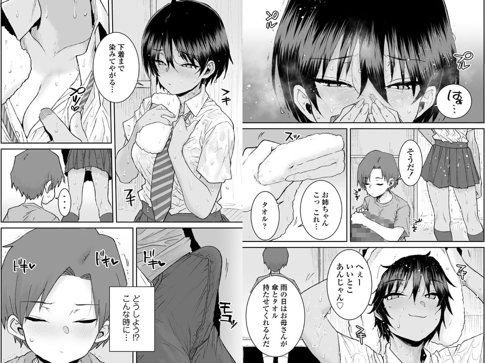 無口で気の強いボーイッシュなお姉ちゃんで僕は童貞を卒業しました 6 ページ目