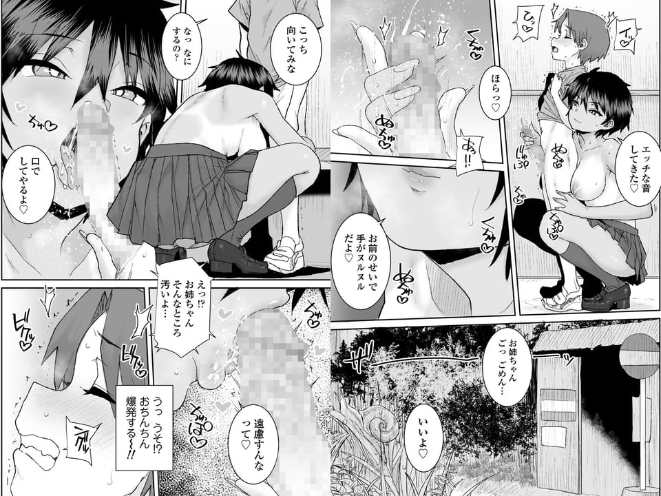 無口で気の強いボーイッシュなお姉ちゃんで僕は童貞を卒業しました 9 ページ目