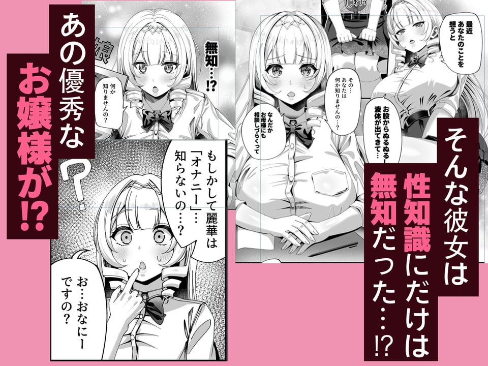 性知識にだけ無知すぎるお嬢様 2 ページ目