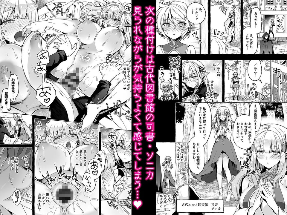 淫紋魔術師のエルフハーレム 3 ページ目