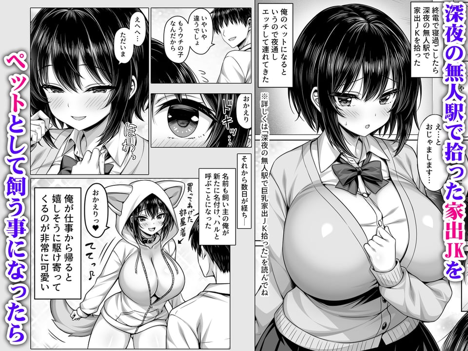 深夜の無人駅で拾った巨乳家出JKの飼い主の日常 1 ページ目