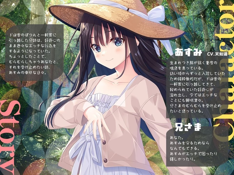 兄さまのむらむらした気持ちを全部受け止めたい妹 2 ページ目