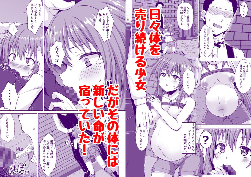 シーフ娘が妊娠中もいっぱいエッチして望まぬ形でママになっちゃう本 1 ページ目