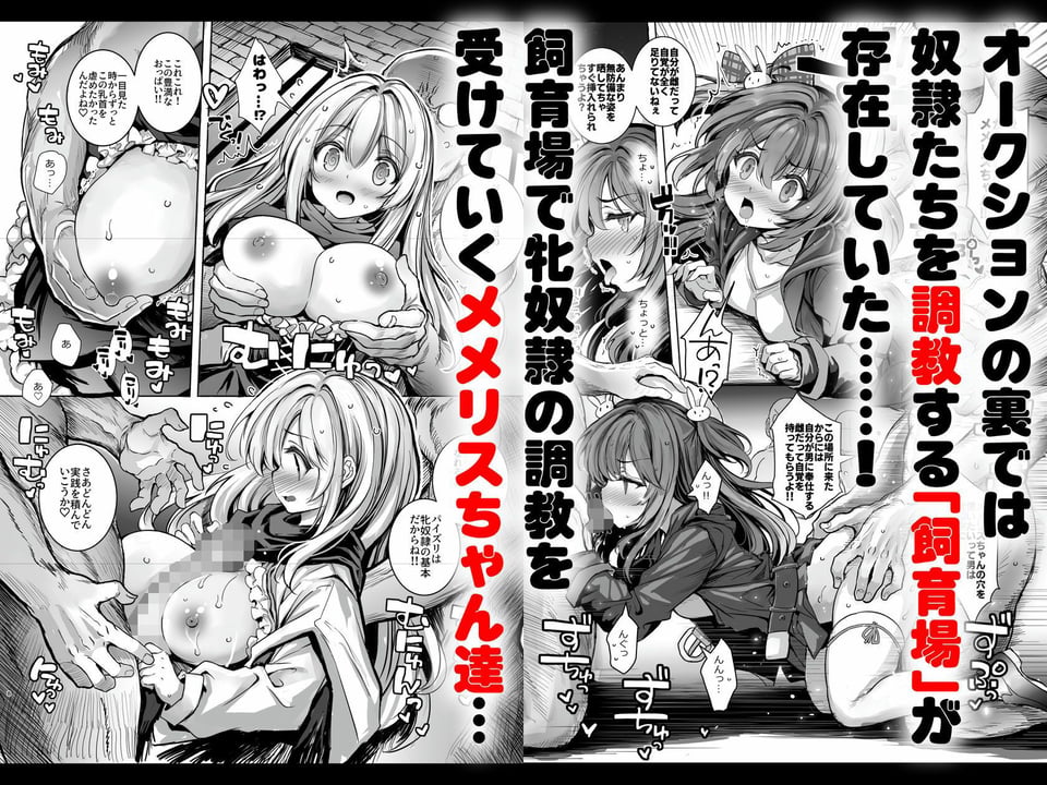 調教監獄に囚われて…正気を溶かし、従属堕ち 2 ページ目